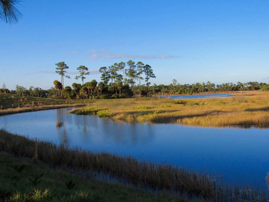 Okeeheelee Park de West Palm Beach en Floride