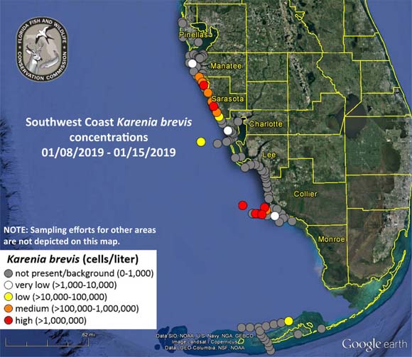 LA CARTE FWC des marées rouges en Floride AU 16 JANVIER