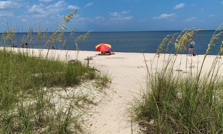 Bald Point State Park dans la St Marks National Wildlife Refuge