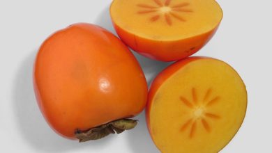 La plaquemine : un délicieux fruit automnal américain (ici appelé persimmon)