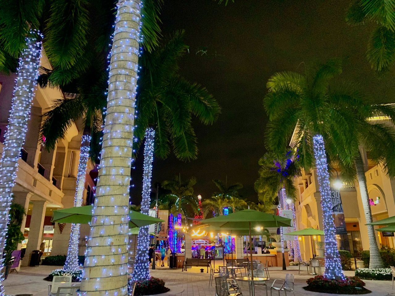 Hallandale les décorations de Noël au Gulfstream Park en vidéo et