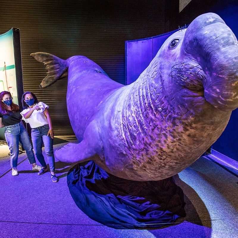 Nature's Superheroes