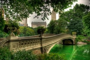 Visiter Central Park : notre guide de voyage de New-York City