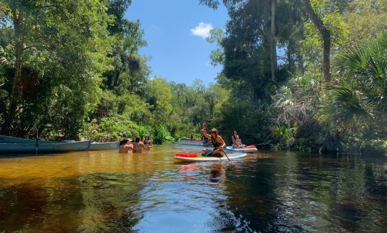Magnifique visite en canoë-kayak de la Wekiwa River (nord d'Orlando)