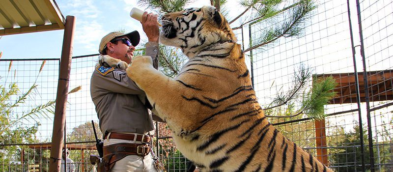 Tiger King (saison 2)