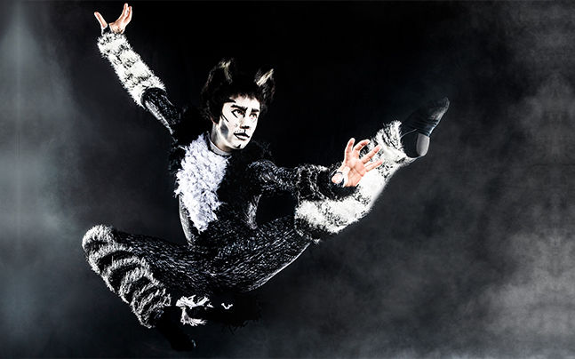 Cats