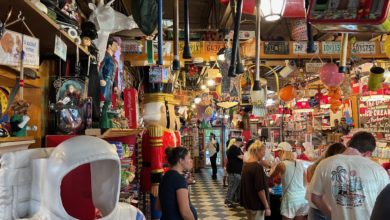 The Girls Strawberry U-pick : glaces à la fraise et zoo pour les enfants !