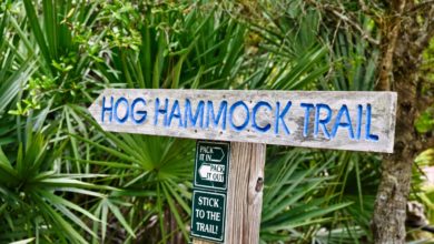 Hog Hammock Trail : pour faire du vélo à West Palm Beach