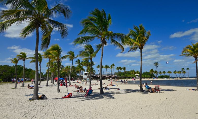 Plage du Matheson Hammock Park - Coral Gables - Miami - Floride