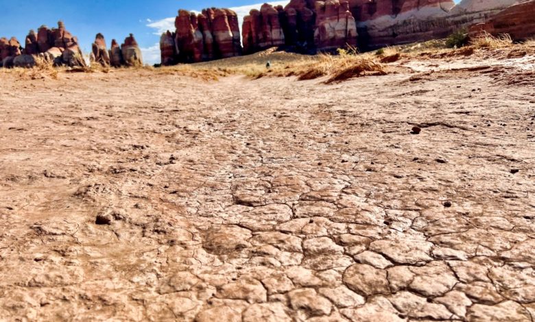 The Needles / Chelser Park, dans le parc national de Canyonlands, en Utah