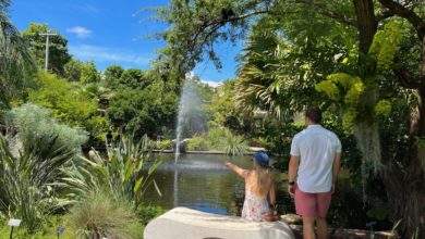 Le Jardin Botanique de Miami Beach