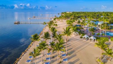 Floride : organiser ses "Daycations" dans les beaux hôtels et pour pas très cher