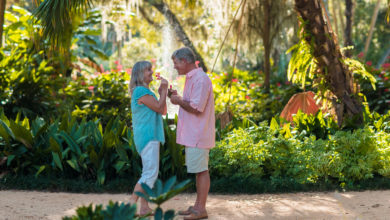 Notre Dossier Spécial "Snowbirds en Floride" 2022-2023