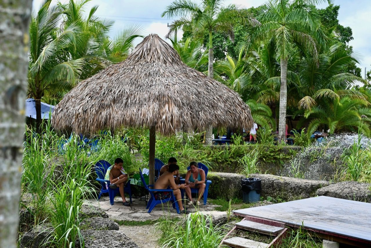 Découverte du « Blue Lagoon » de Redland, au sud de Miami Le Courrier
