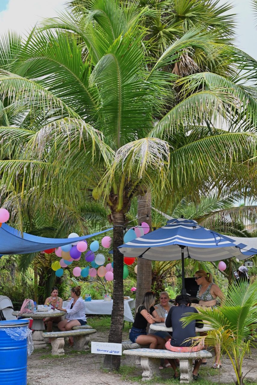 Découverte du « Blue Lagoon » de Redland, au sud de Miami Le Courrier