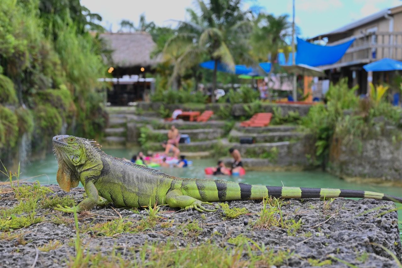 Découverte du « Blue Lagoon » de Redland, au sud de Miami Le Courrier