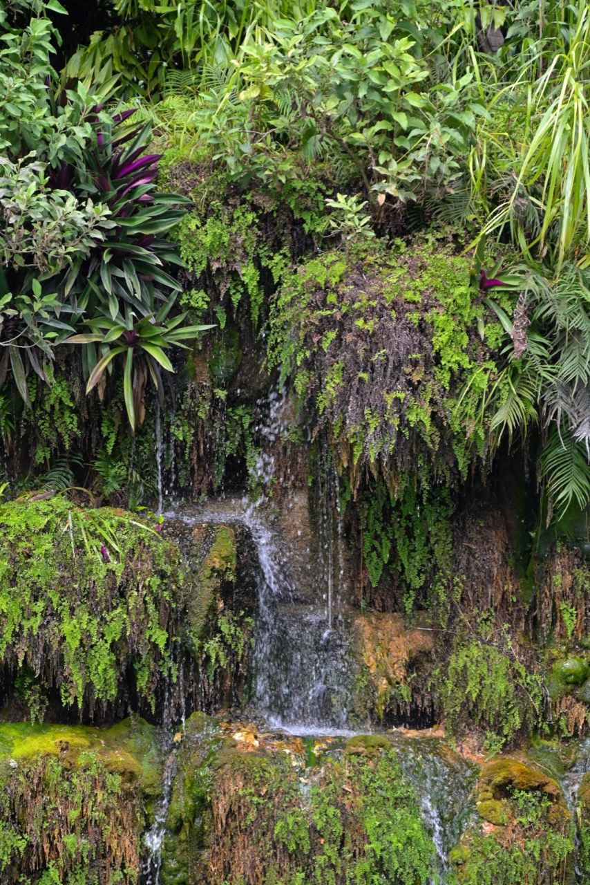 Découverte du « Blue Lagoon » de Redland, au sud de Miami Le Courrier