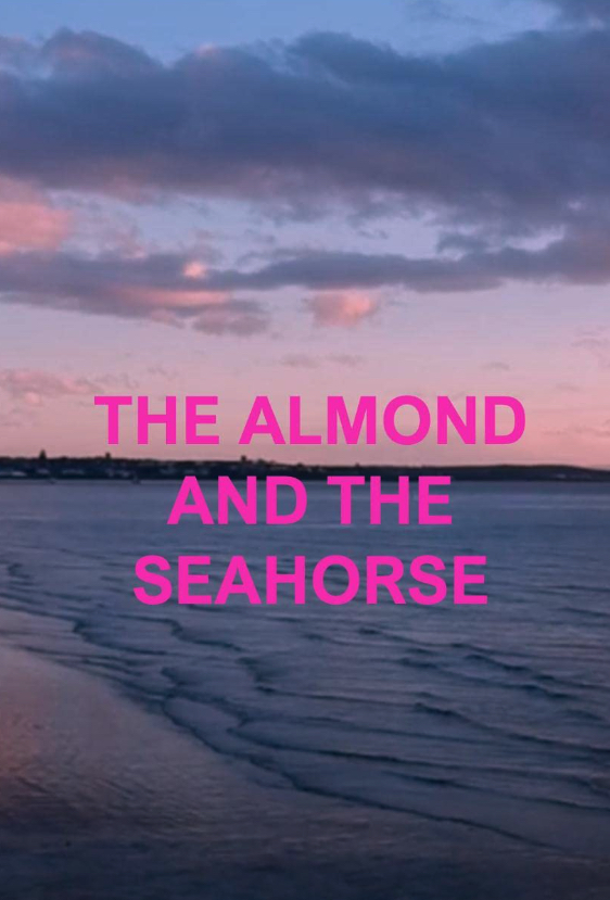 Affiche film The Almond and the Seahorse