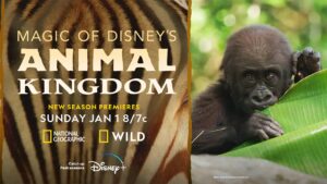 Magic Of Disney’s Animal Kingdom – saison 2