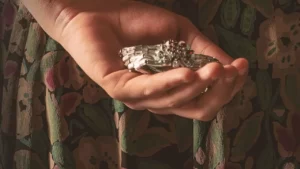 The Lying Life of Adults 