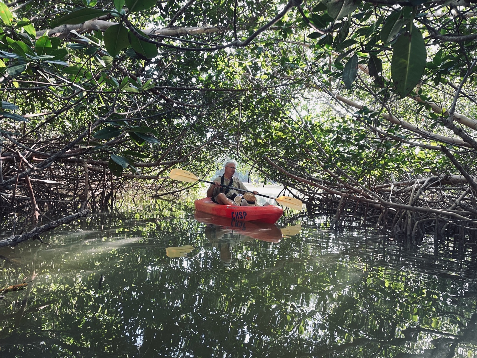 Tunnel de mangrove au Curry Hammock State Park dans les îles Keys de Floride !