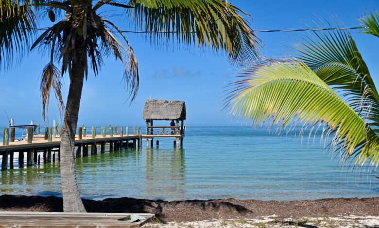 A la découverte de Pigeon Key, petite île sous le Seven Mile Bridge des Keys de Floride !