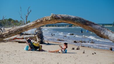L'île de Big Talbot au niveau de The Bluffs (à Jacksonville en Floride)