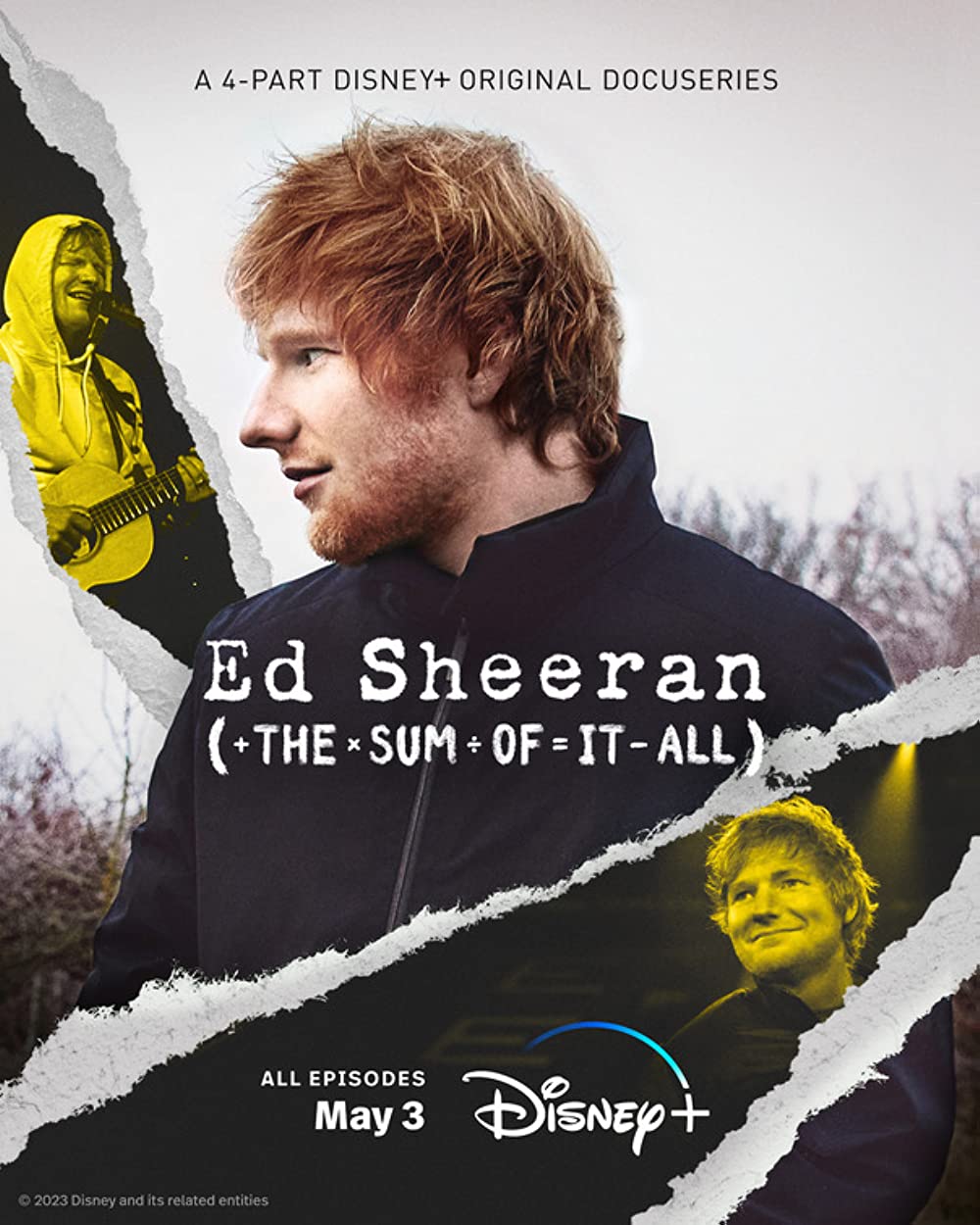 Ed Sheeran: The Sum of It All (série limitée)