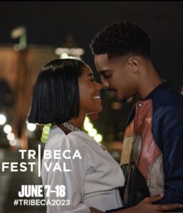 Affiche film The Perfect Find