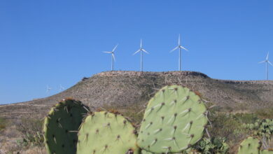 Desert Sky Wind Farm, au Texas.
