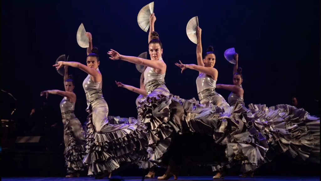 Siudy Flamenco Bailaora