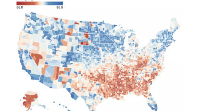 Crédit infographie : Jeremy Ney / American Inequality