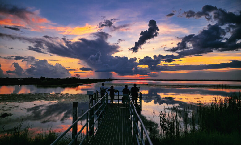 Parkland (Floride) : découvrez la partie sud de la Loxahatchee National Wildlife Refuge