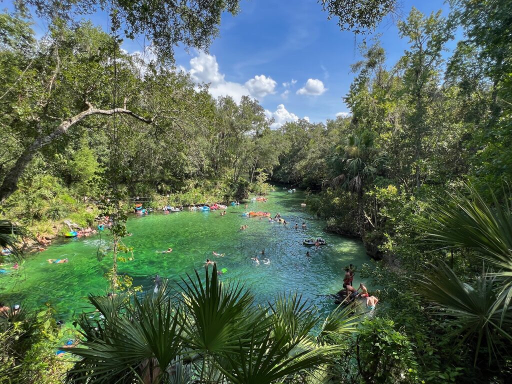 Blue Spring State Park, une belle source bleue près d'Orlando (Floride) avec de nombreux lamantins