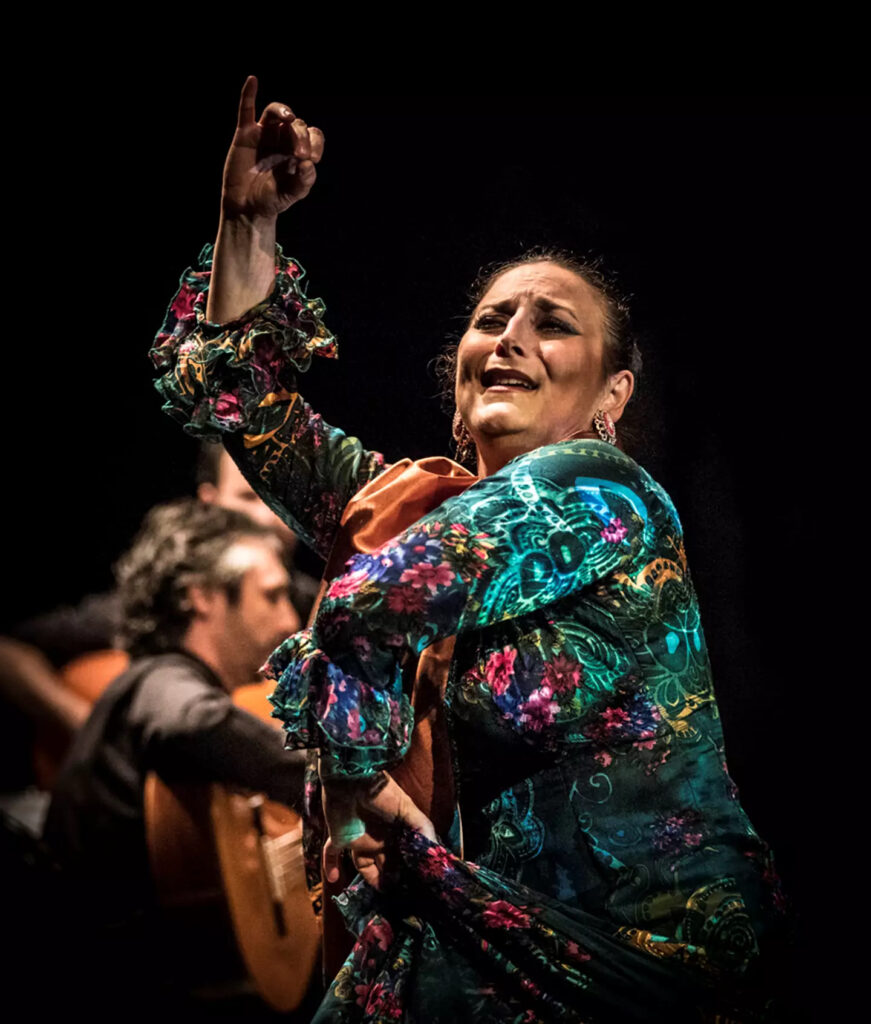 Siempre Flamenco's Festival de Cante