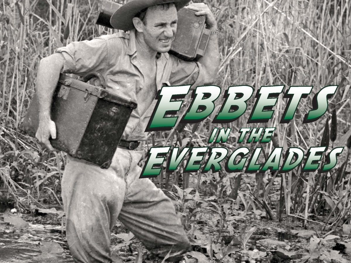 Expo : Ebbets in the Everglades
