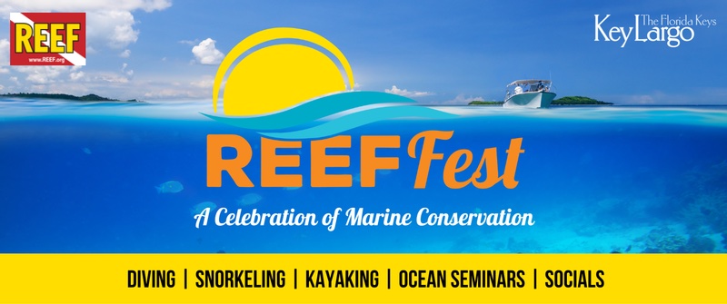 Reef fest