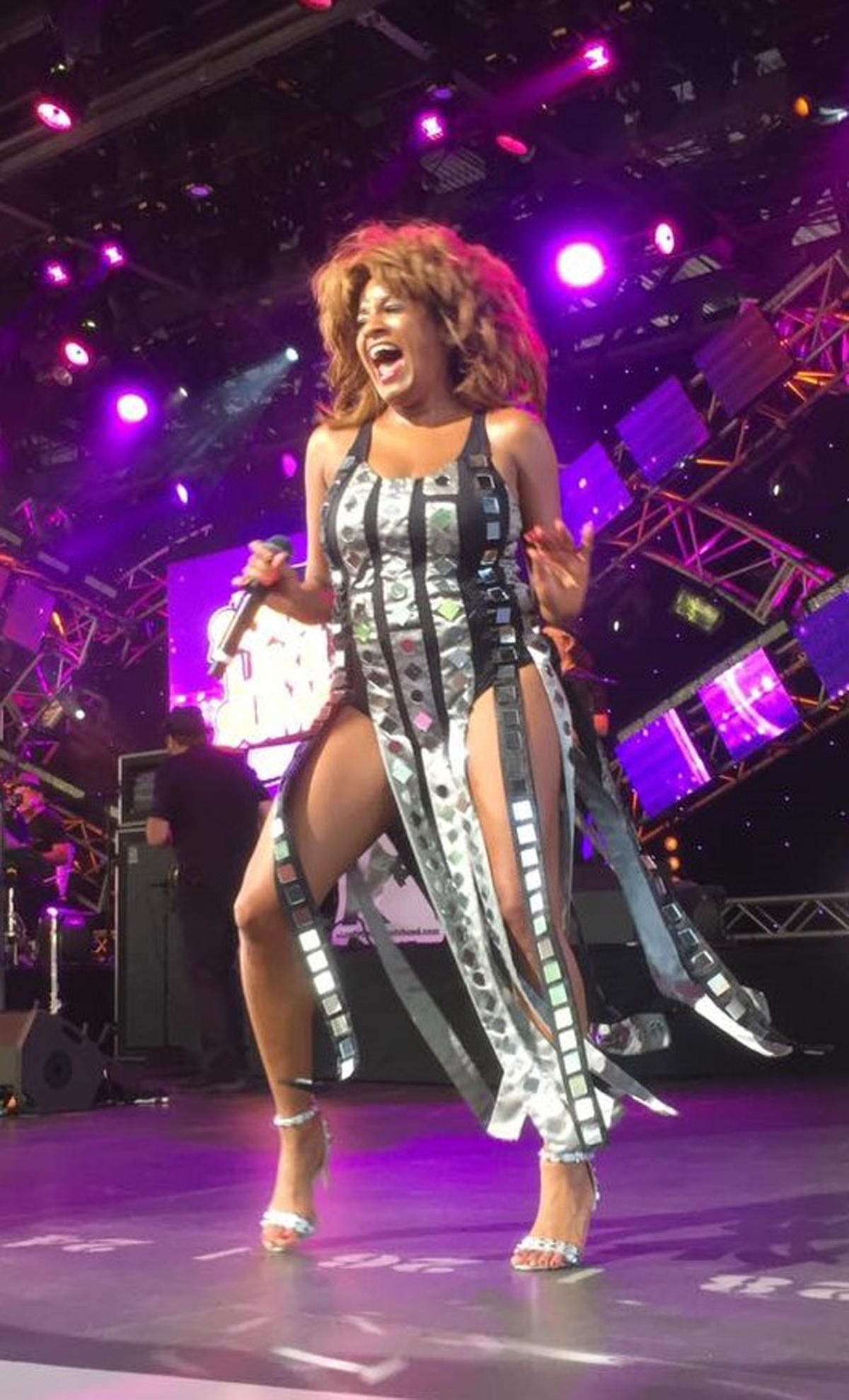 Tina Turner Tribute Band