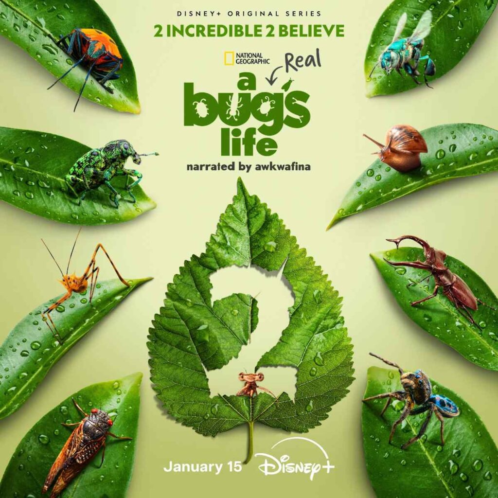 A Real Bug’s Life (saison 2)