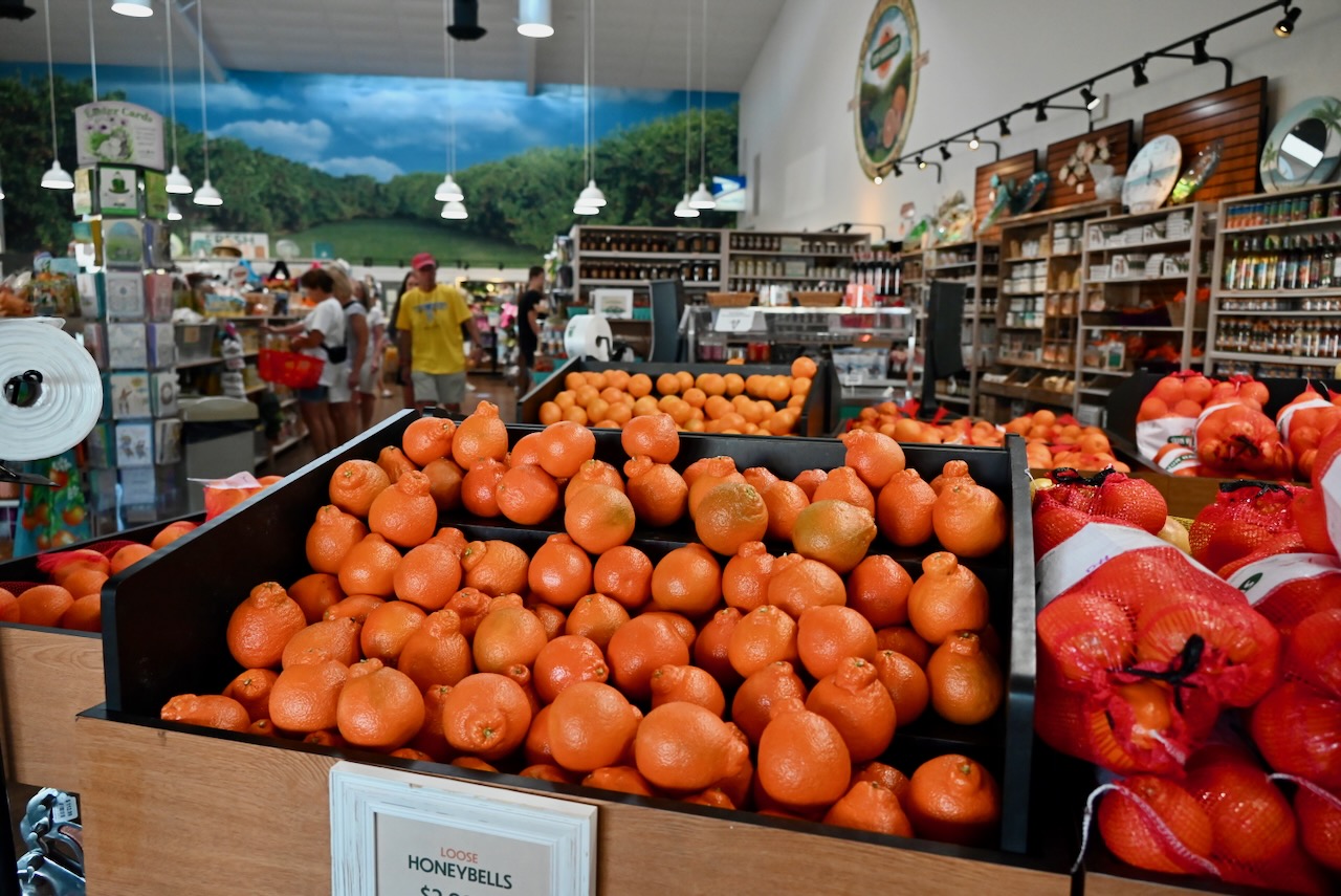 Sun Harvest à Fort Myers : Une Escale Gourmande au Cœur de la Floride