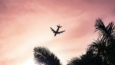 Forte baisse des prix des billets d’avion pour les Etats-Unis