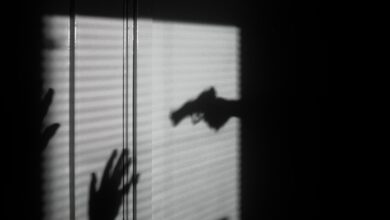 Criminalité aux Etats-Unis.