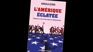 "L’Amérique éclatée" de Romuald Sciora : critique d’un essai avec un tout petit intérêt