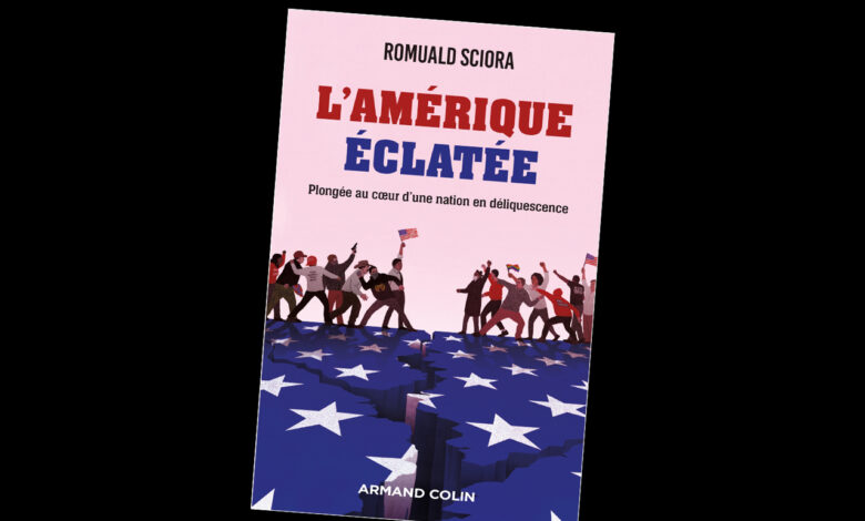 "L’Amérique éclatée" de Romuald Sciora : critique d’un essai avec un tout petit intérêt