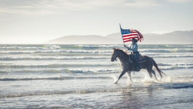 La Carte Verte ou Le Visa d’Investisseur – Y a-t-il Une Autre Alternative ?