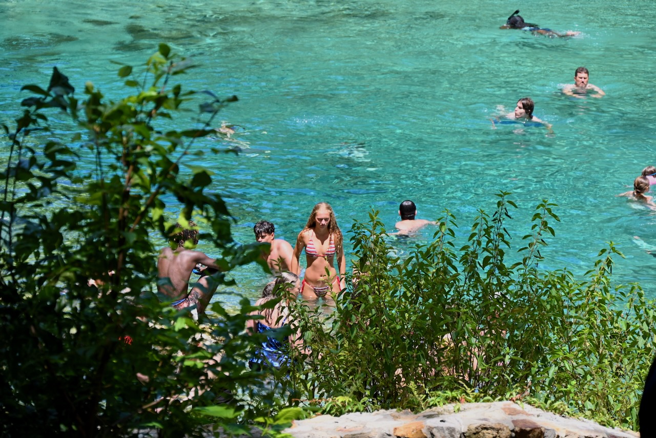 Ichetuknee : l'une des deux sources où il est possible de nager (entrée nord)