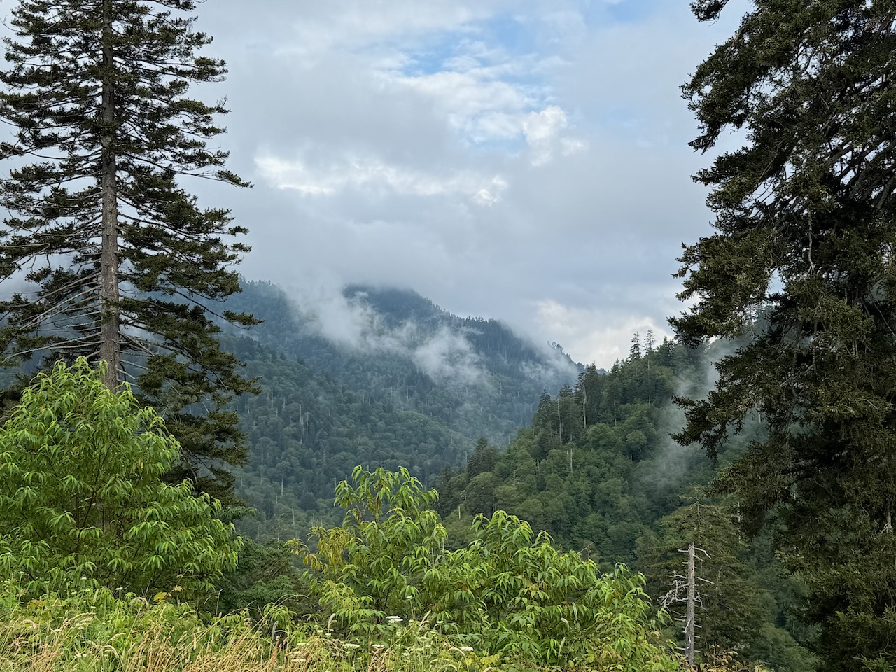 Les Smoky Mountains