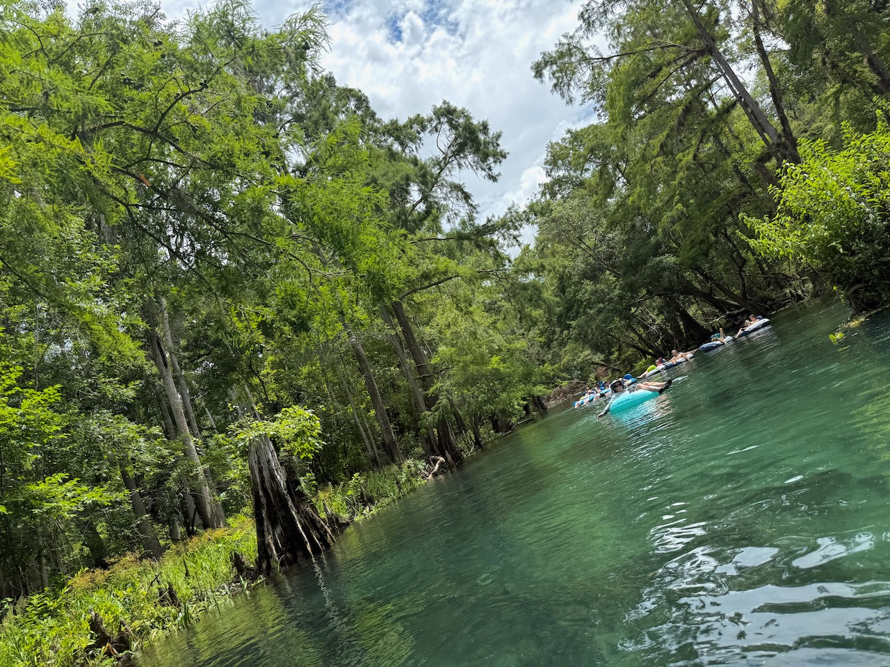 Ichetuknee : une belle rivière bleue à descendre en bouée près de Gainesville en Floride
