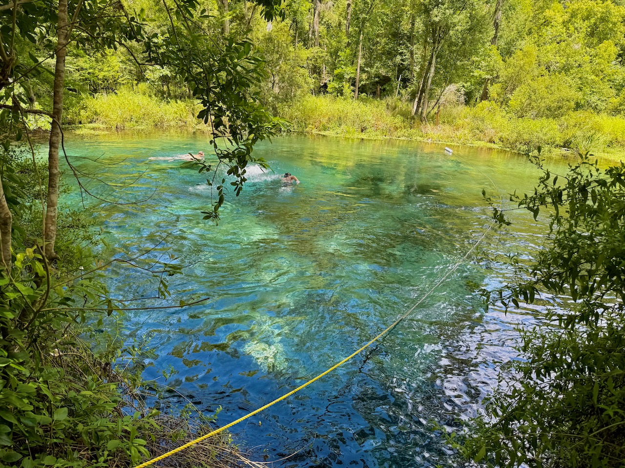 Ichetuknee : une belle rivière bleue à descendre en bouée près de Gainesville en Floride