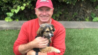 Angel's Five-star Pet Care, franchise services animaliers